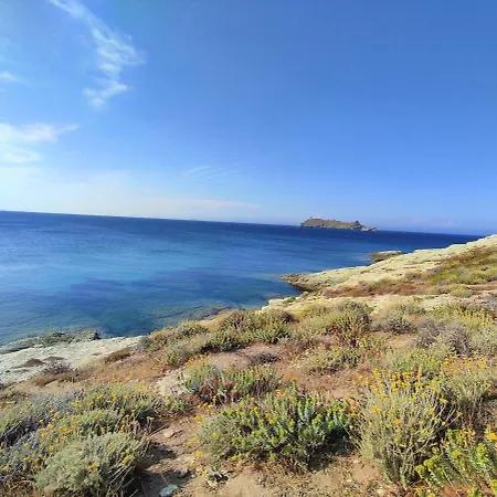 Bellagiraglia *